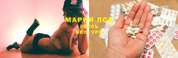 ПСИЛОЦИБИНОВЫЕ ГРИБЫ Белокуриха