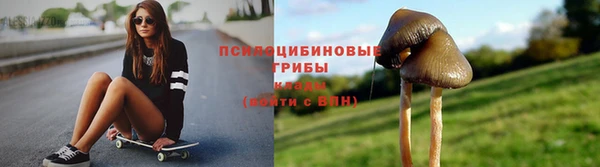 крисы Ростов