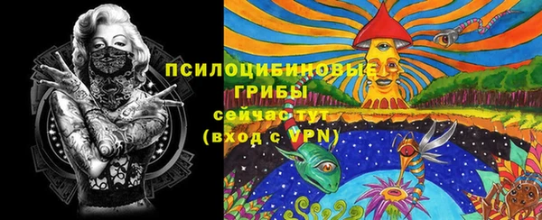 ПСИЛОЦИБИНОВЫЕ ГРИБЫ Белокуриха