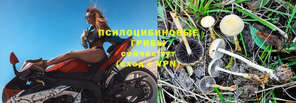 мдма Беломорск