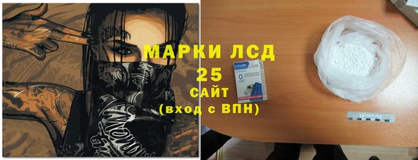 ПСИЛОЦИБИНОВЫЕ ГРИБЫ Белокуриха