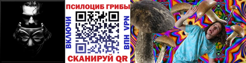 где можно купить   Красноуфимск  Псилоцибиновые грибы Psilocybe 